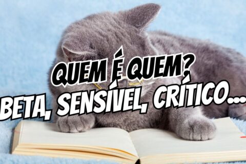 Leitor Beta, Leitor Sensível e Leitura Crítica