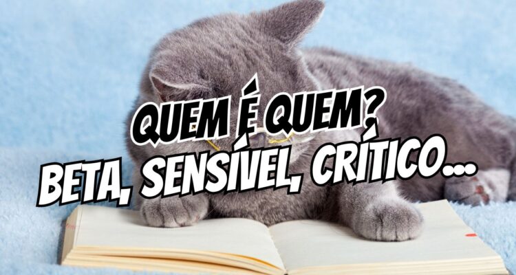 Leitor Beta, Leitor Sensível e Leitura Crítica